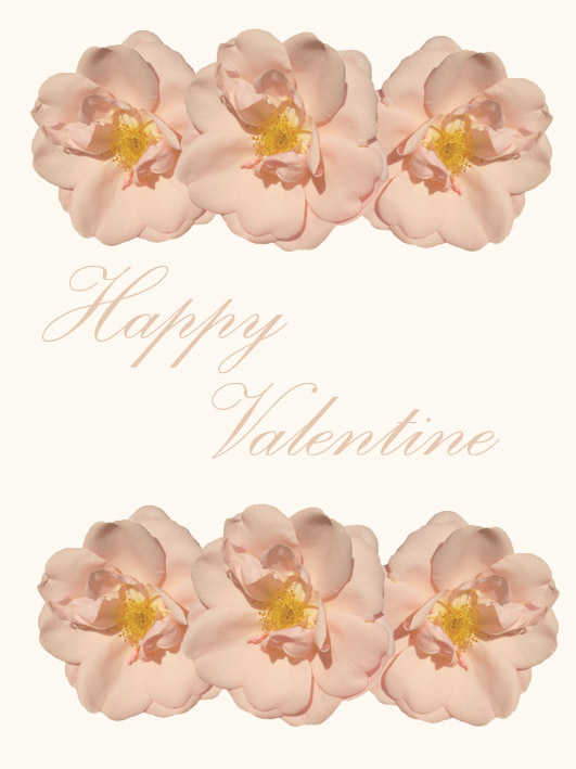 valentine greeting cards with pink roses