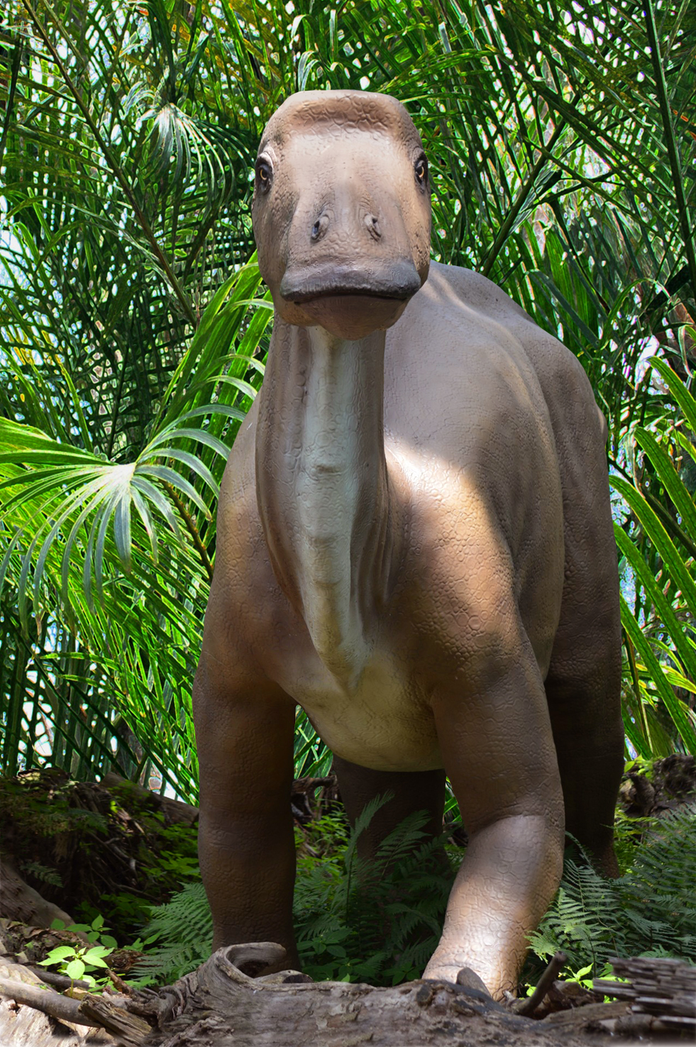 big herbivore dinosaur picture
