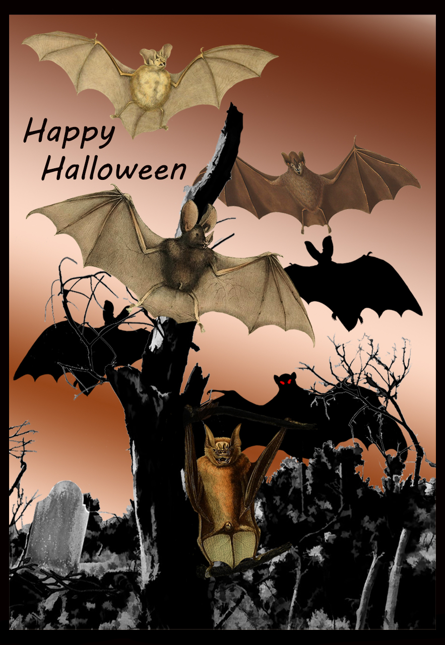bats-halloween card