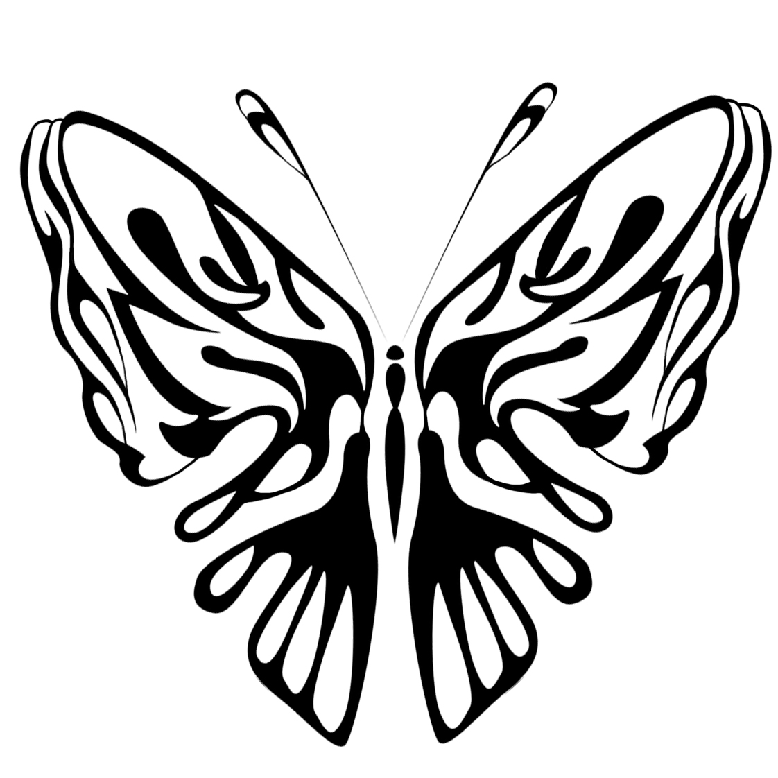 beautiful black hite coloring page butterfly
