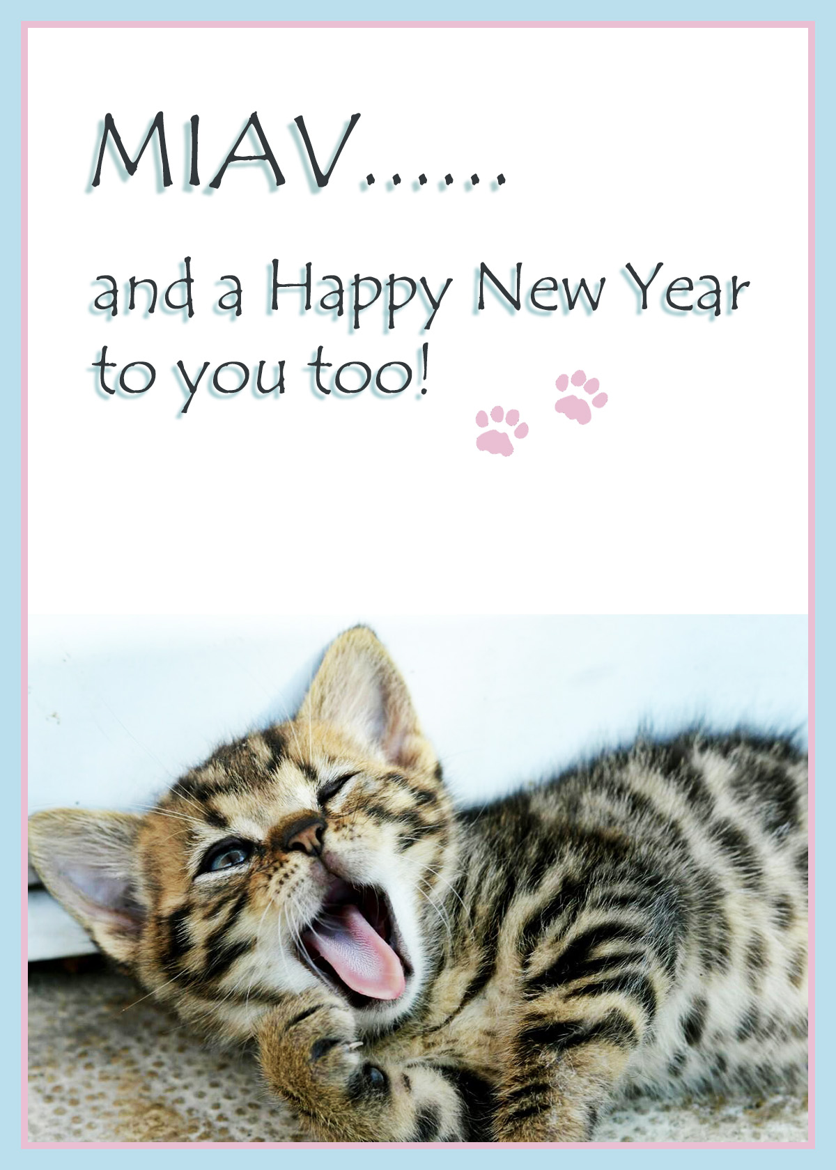 Sleepy kitten wishing you a happy New Year