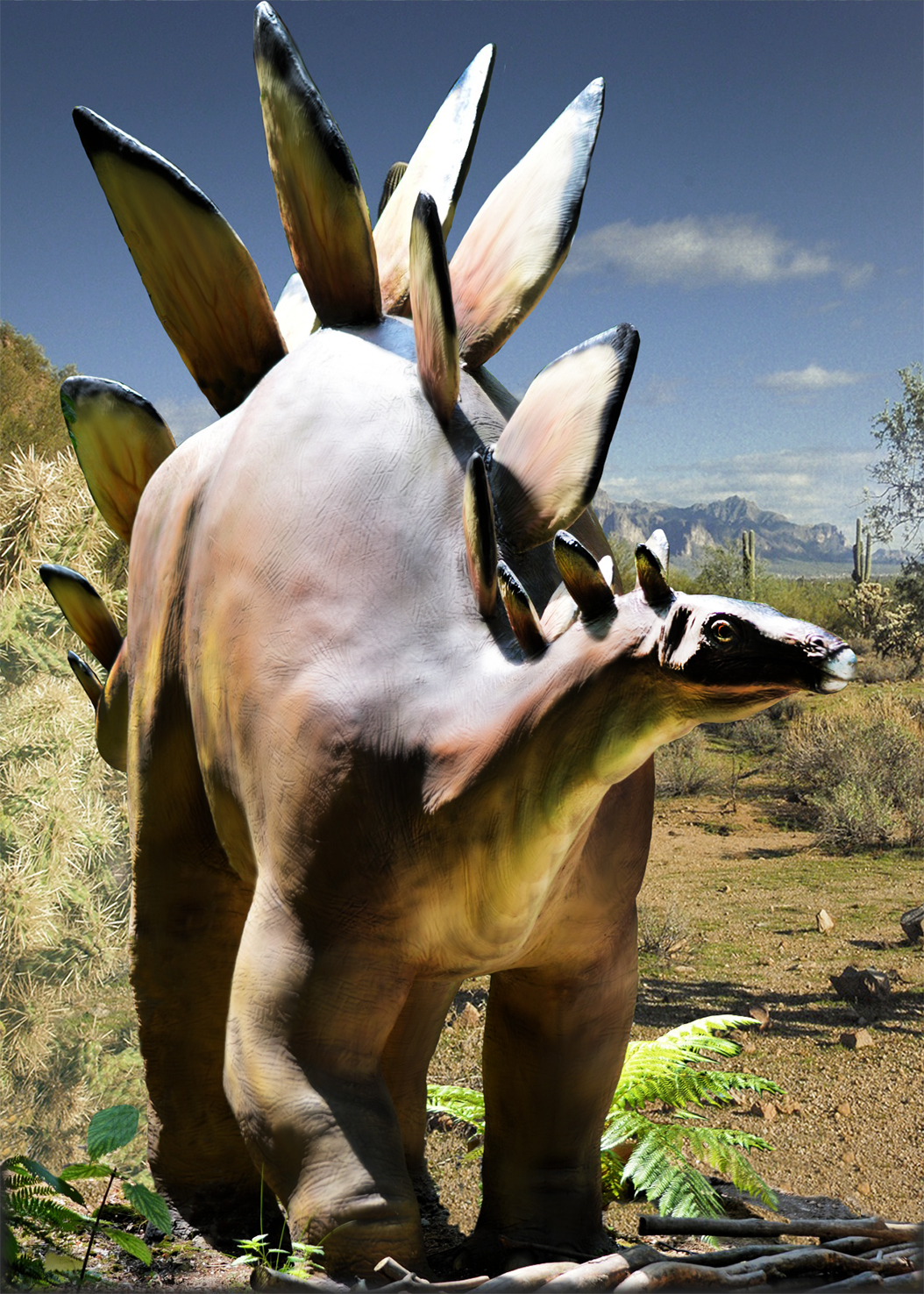 picture of stegosaurus dinosaur