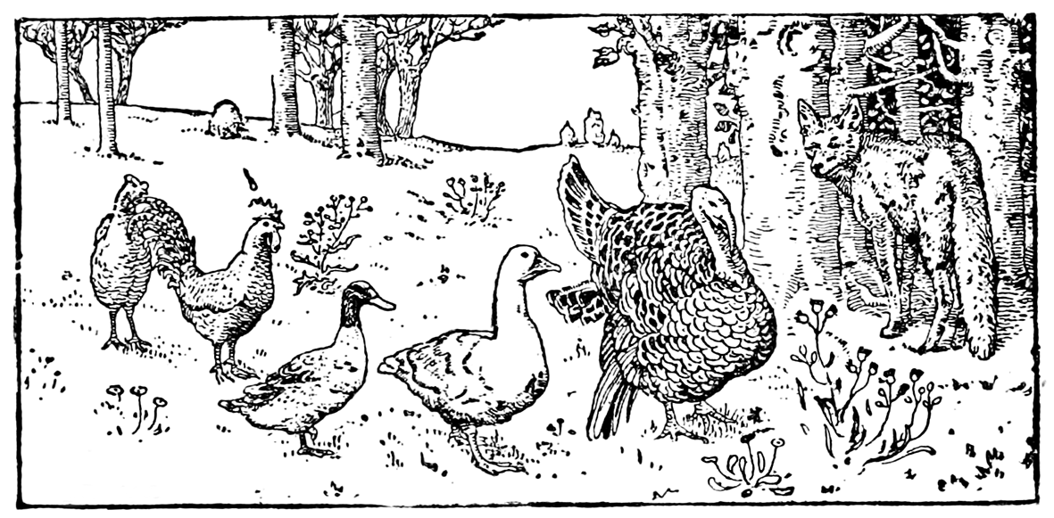 Old drawing of fox and turkey