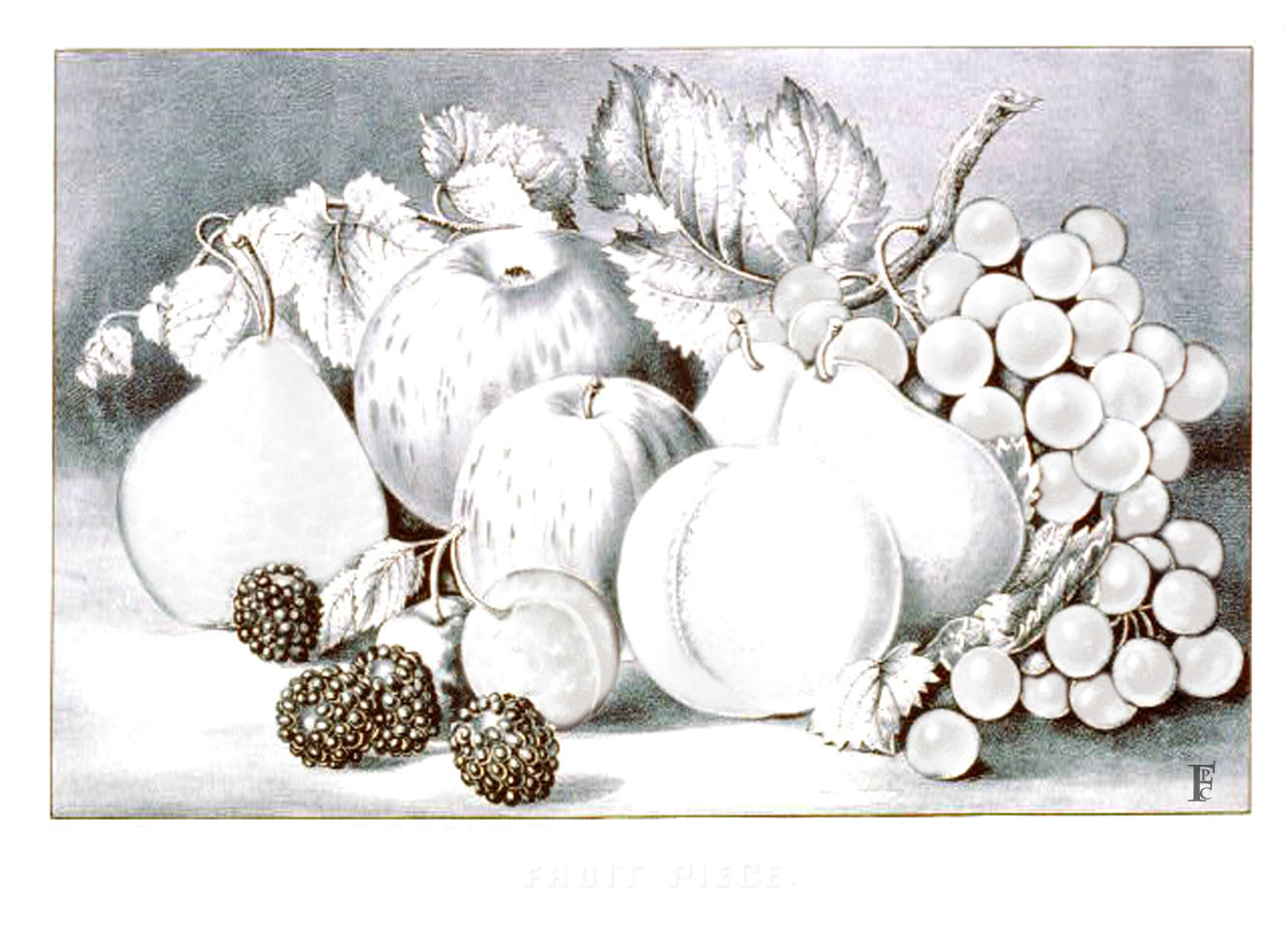 vintage coloring page fruit bowl