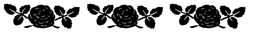 border with black white roses