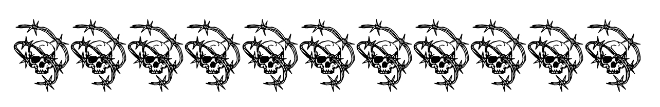 border skulls and barbed wire