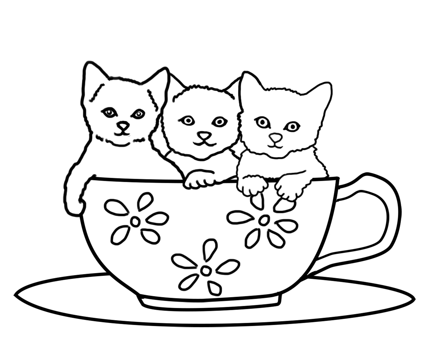 three kittens in a cup