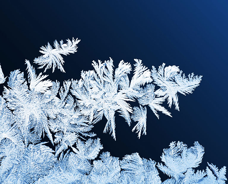 winter picture of frost pattern