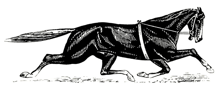 illustration of trotter