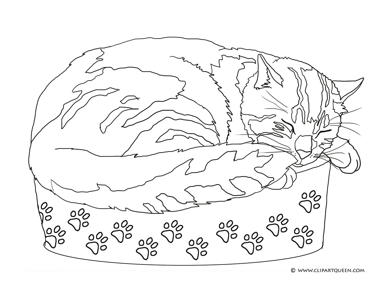coloring page with sleeping cat