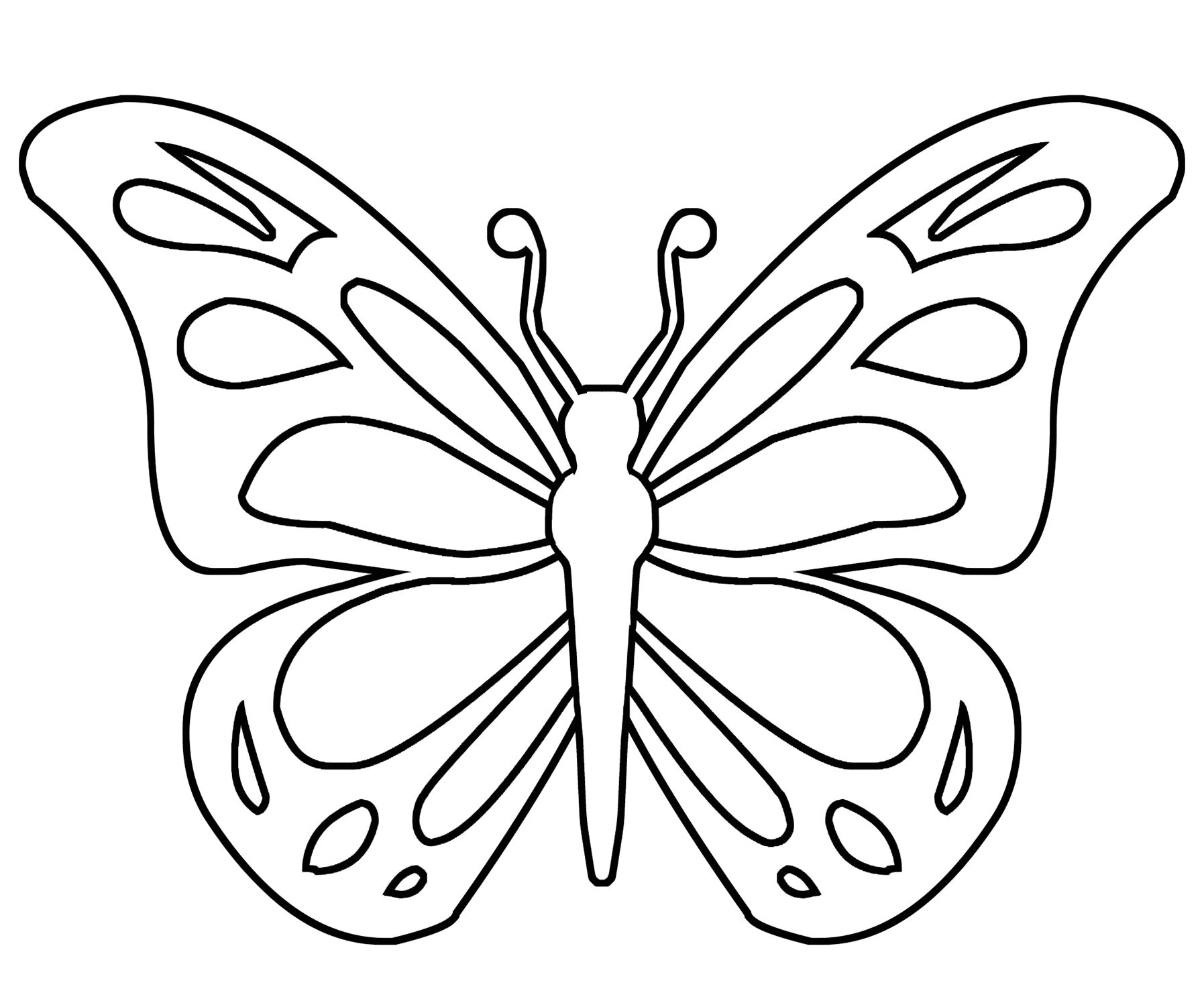 simple butterfly for coloring