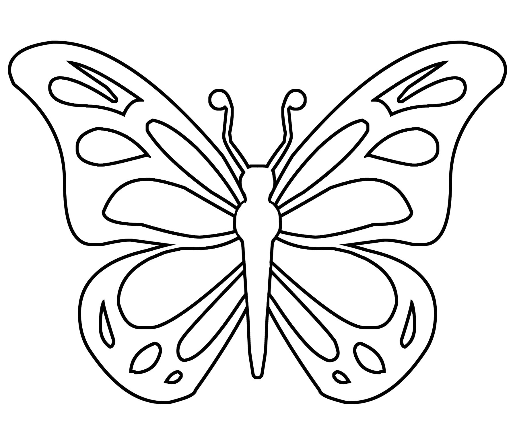 Butterfly Coloring Pages