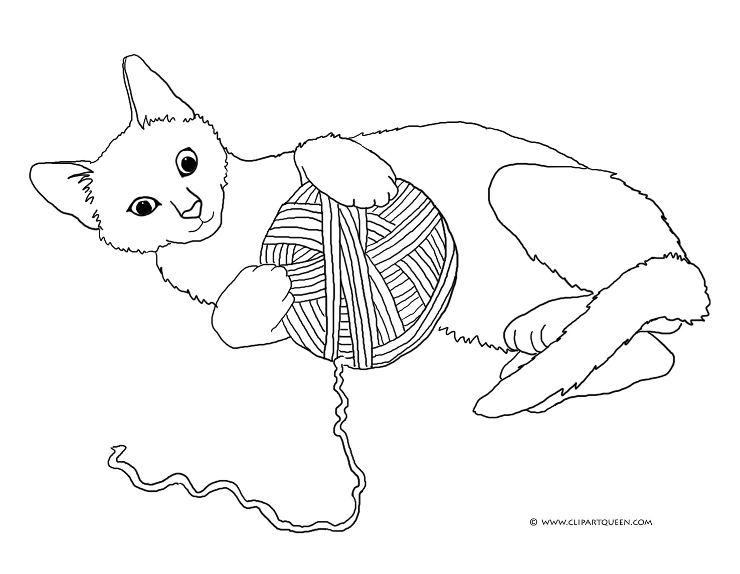 cat playing with yarn