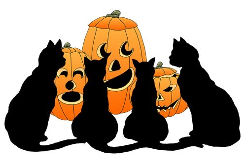 Black cats and pumpkins for Halloween