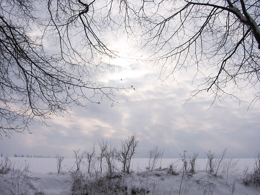 winter landscape