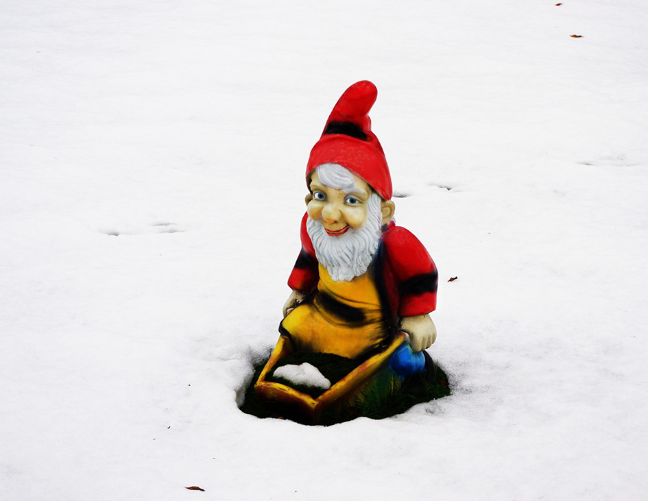 garden gnome in snow