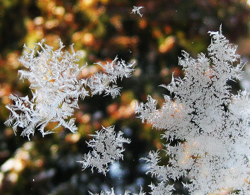 frost flowers on the window