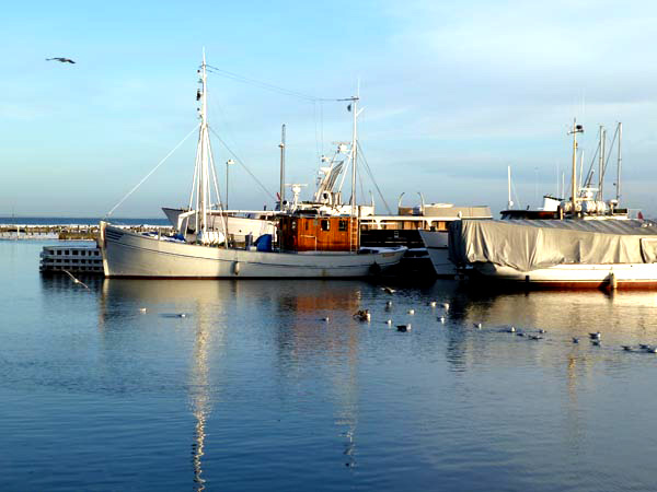 harbour in winter