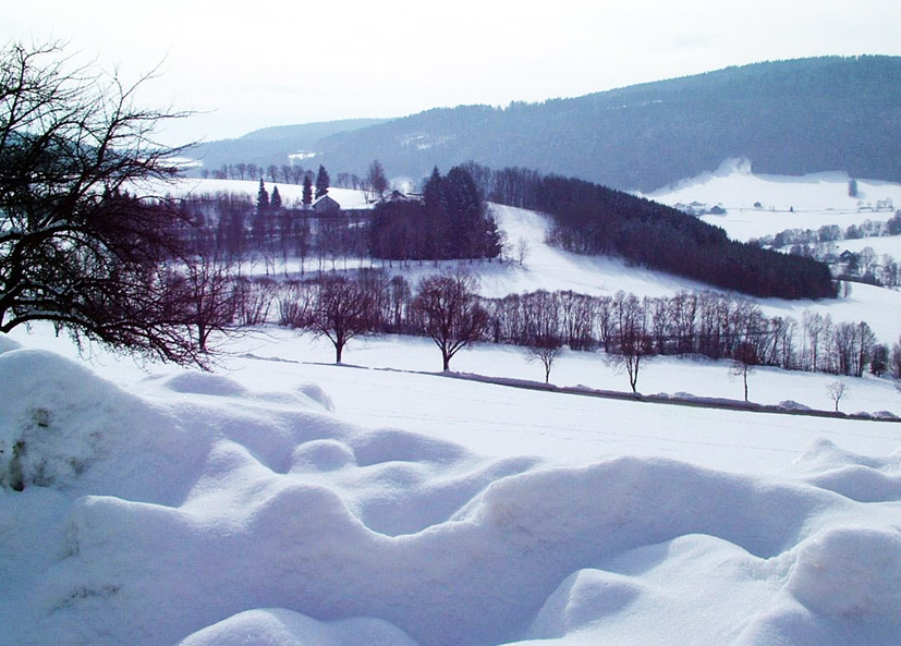 landscape in winter