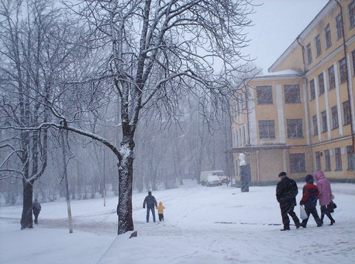 winter in town with people in snow