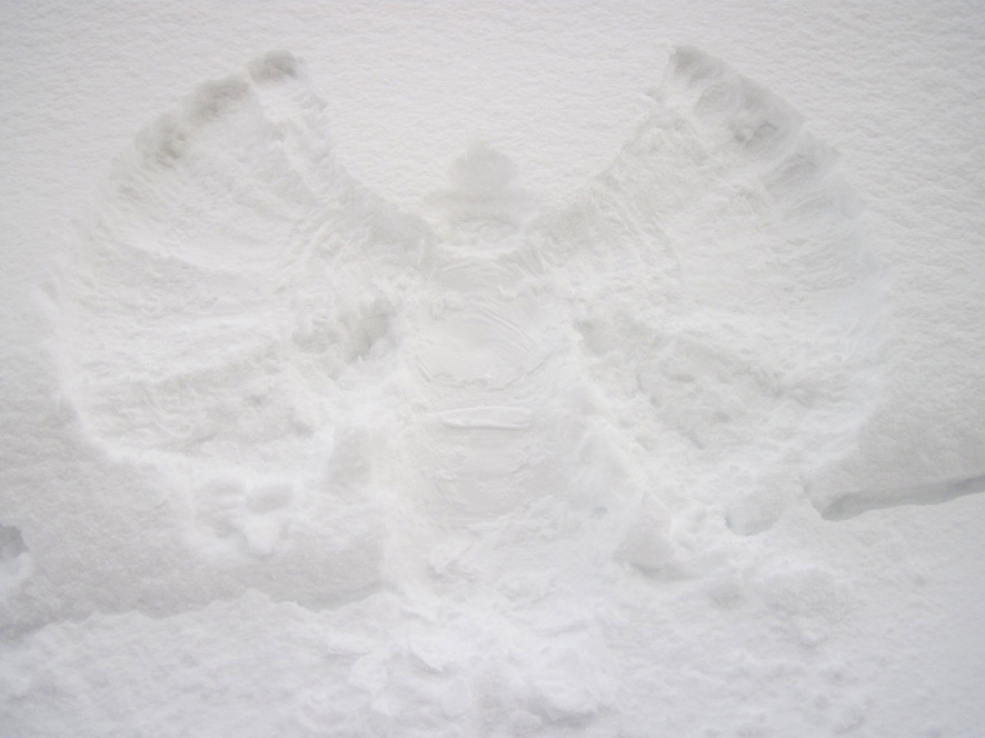 snow angel