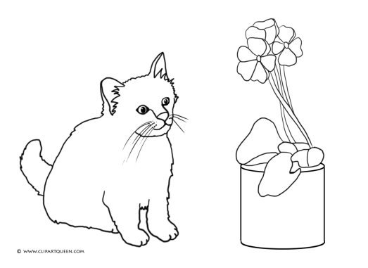 cat looking at flower