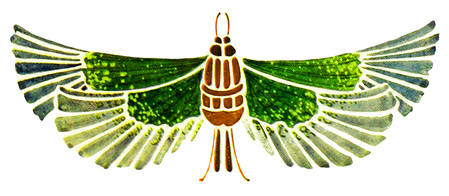 butterfly drawing jugend style