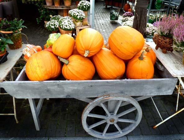 halloween pumpkins for party