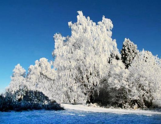 winter-snow-scenes
