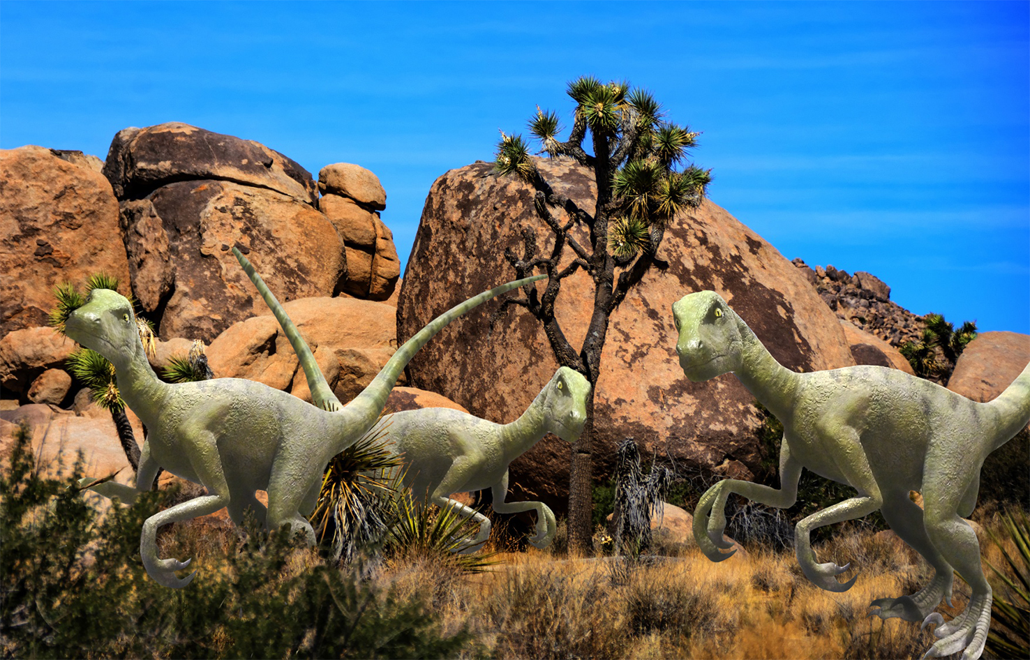 Picture of three velociraptors