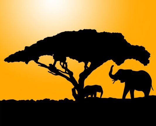 elephants at sunset