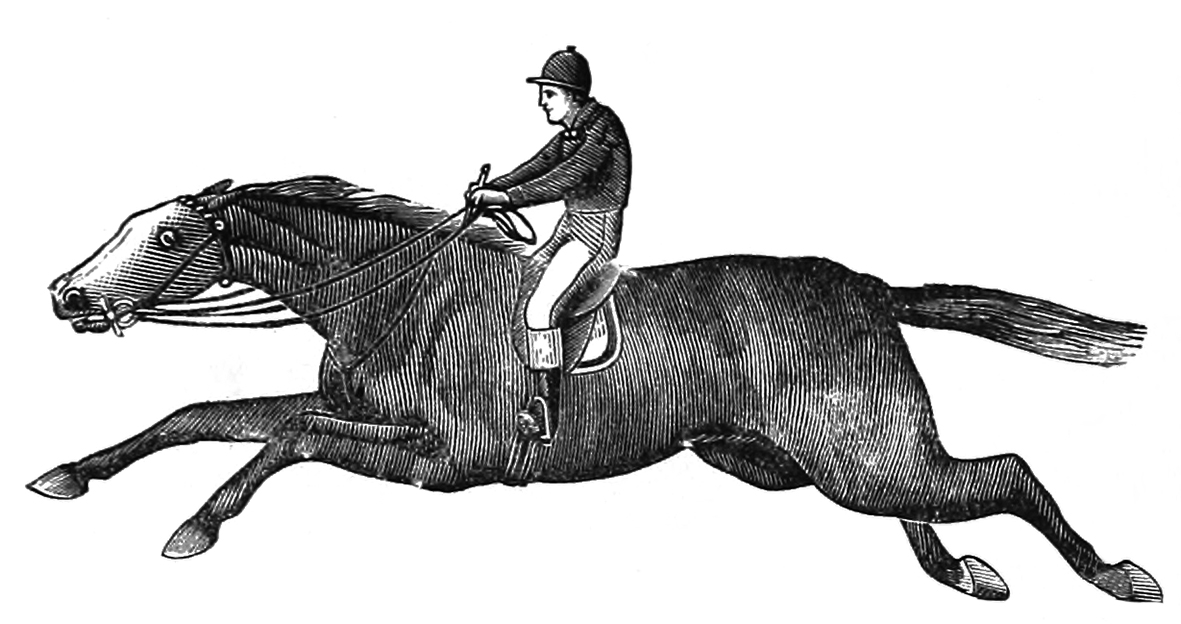 racehorse with jockey