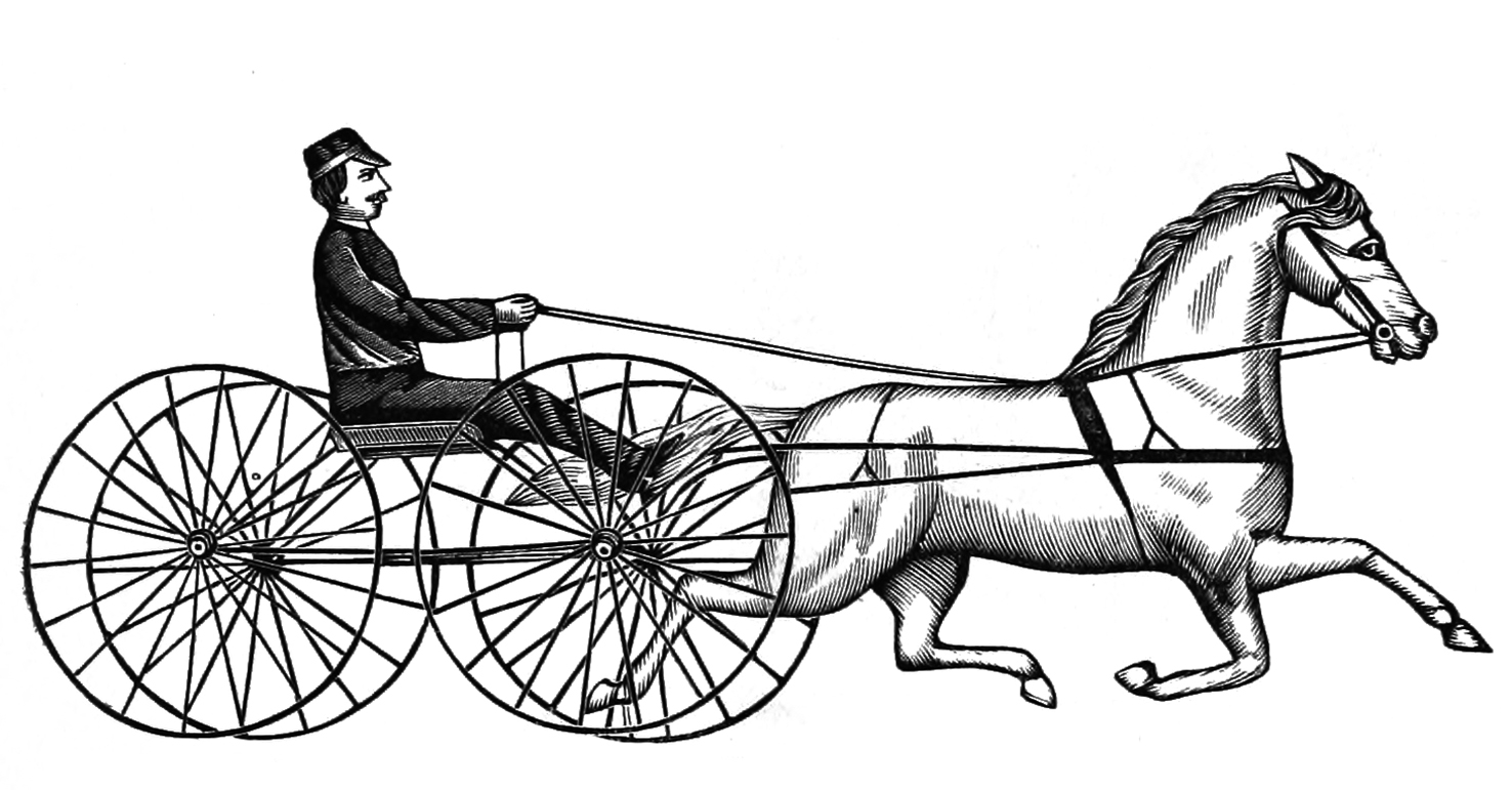 horse to wagon