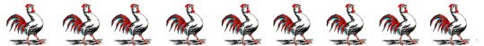colored Rooster border