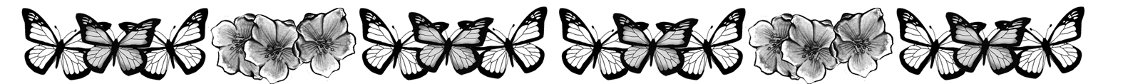 black and white butterfly and flower border