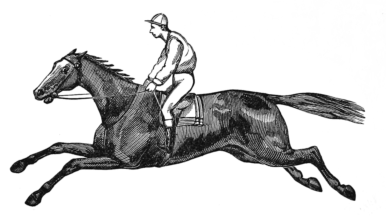 drawing of horse with jockey
