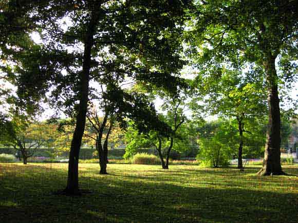 Fall scenery beautiful landscape