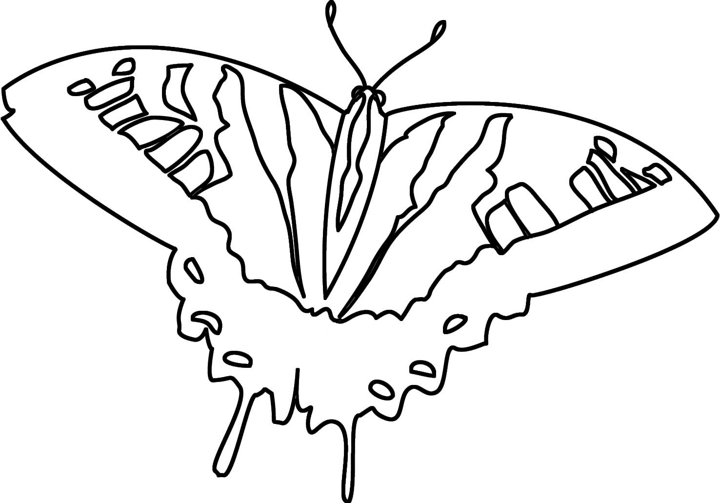 coloring page swallowtail