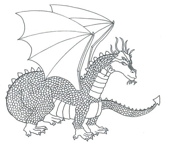 cool dragons sketch scaled dragon