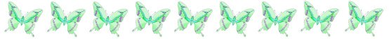 border with green butterflies