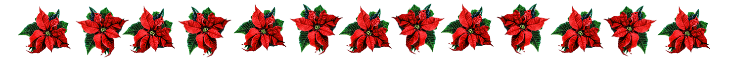 Chrismas flower border clip art