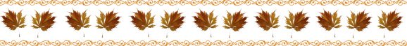 fall leaves border 
