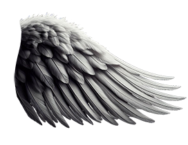 angel wing feathered