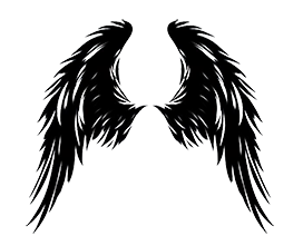 feathery angel wings
