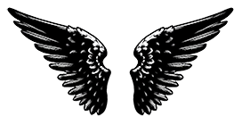 angel wings silhouette 
