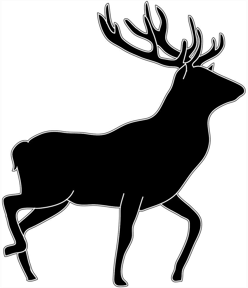 silhouette of stag