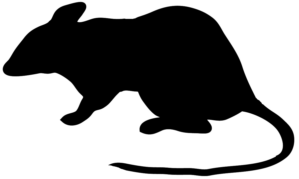 silhouette of mouse with long tail