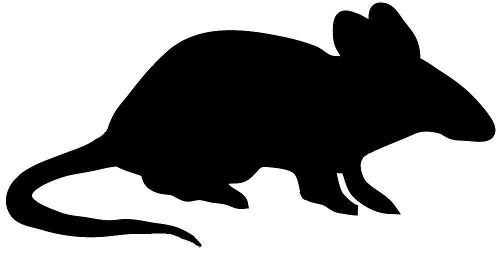 Black silhouette of mouse
