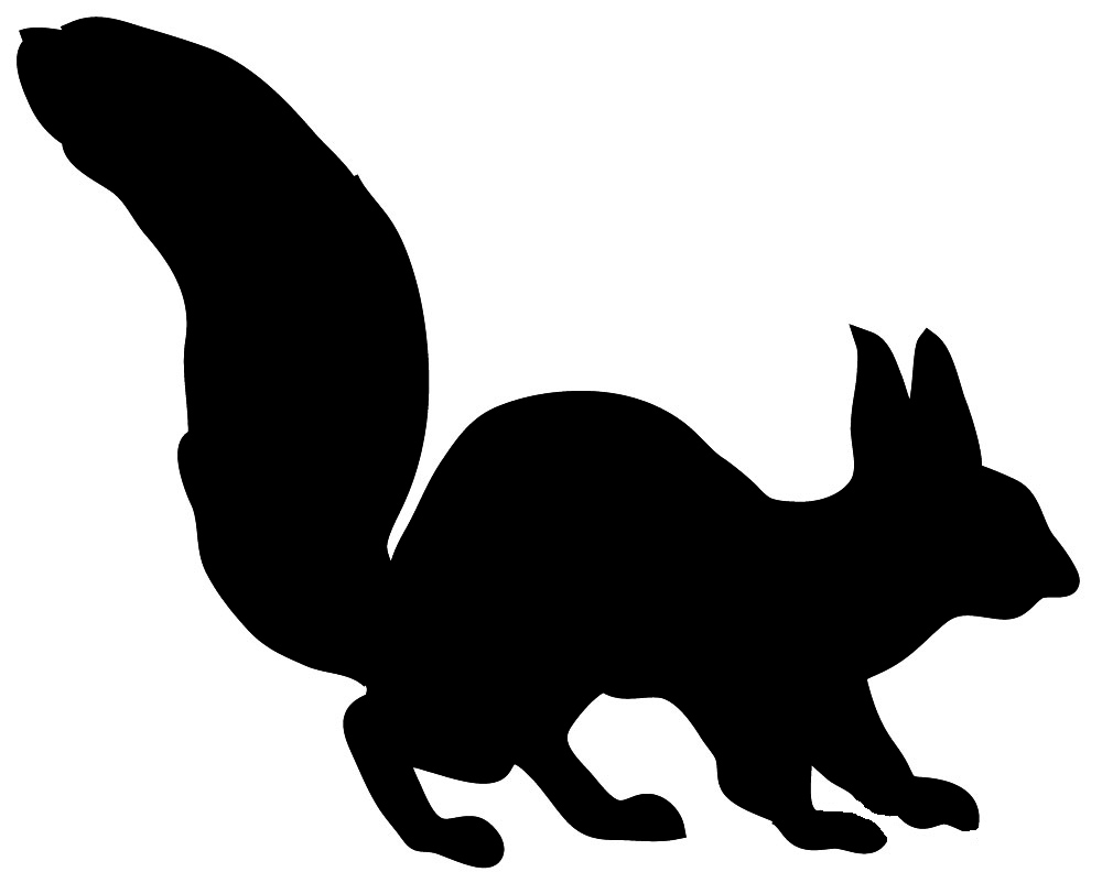 silhouette of squirrel