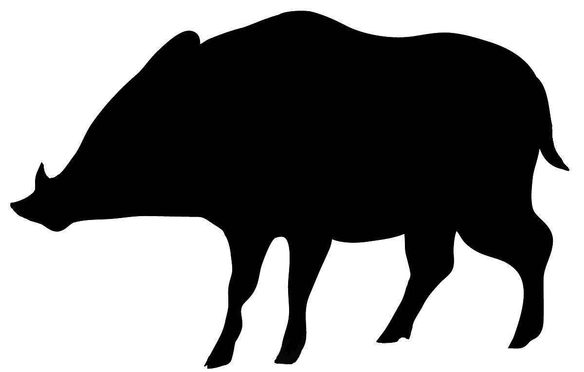 wild boar silhouette in black